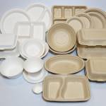 Bagasse Plates